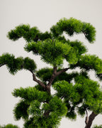 BONSAÏ ARBRE ARTIFICIEL 