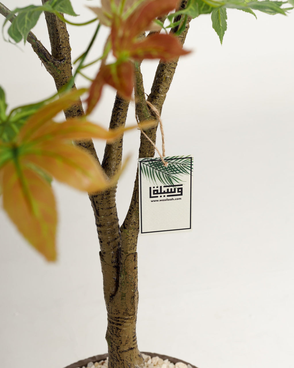 Arbre artificiel d'Hawaï