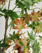 Arbre artificiel d'Hawaï