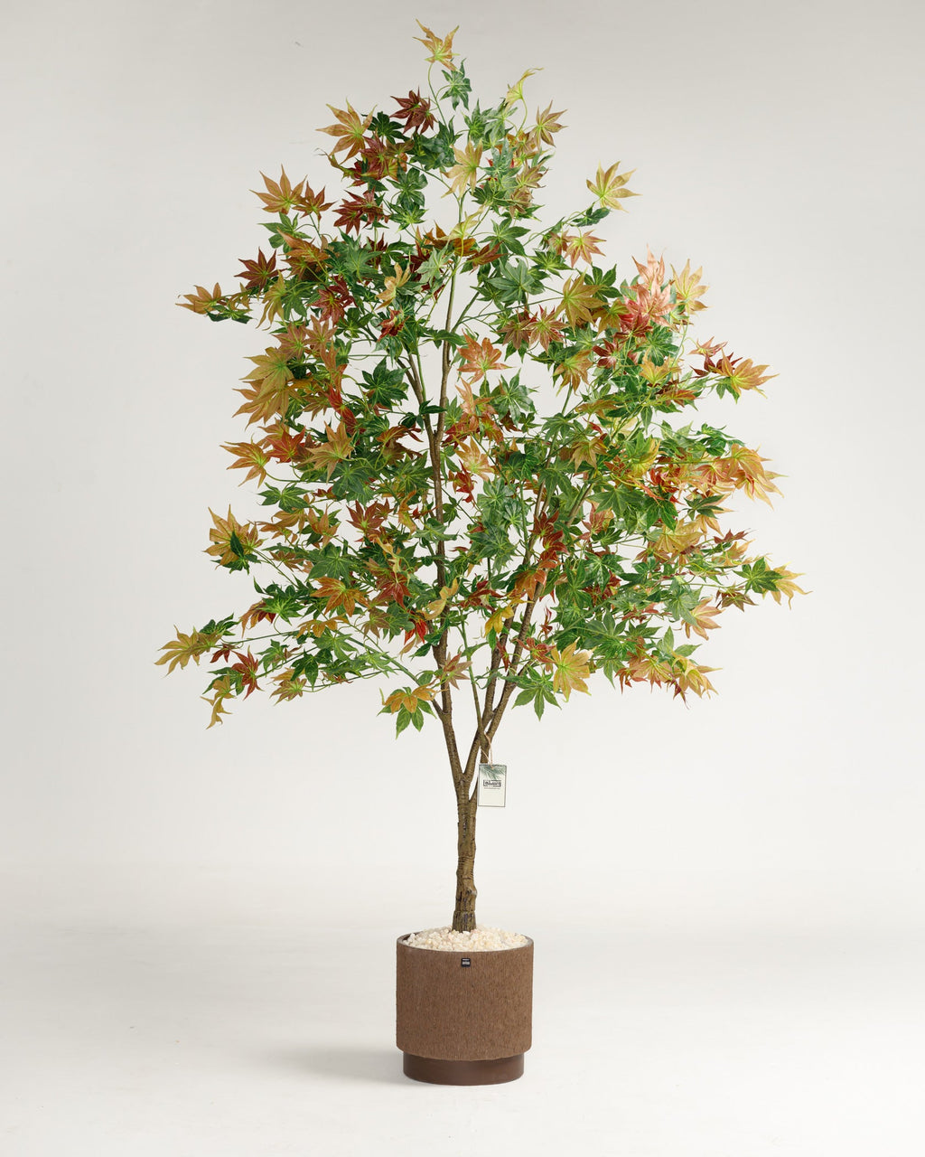 Arbre artificiel d'Hawaï