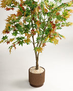 Arbre artificiel d'Hawaï