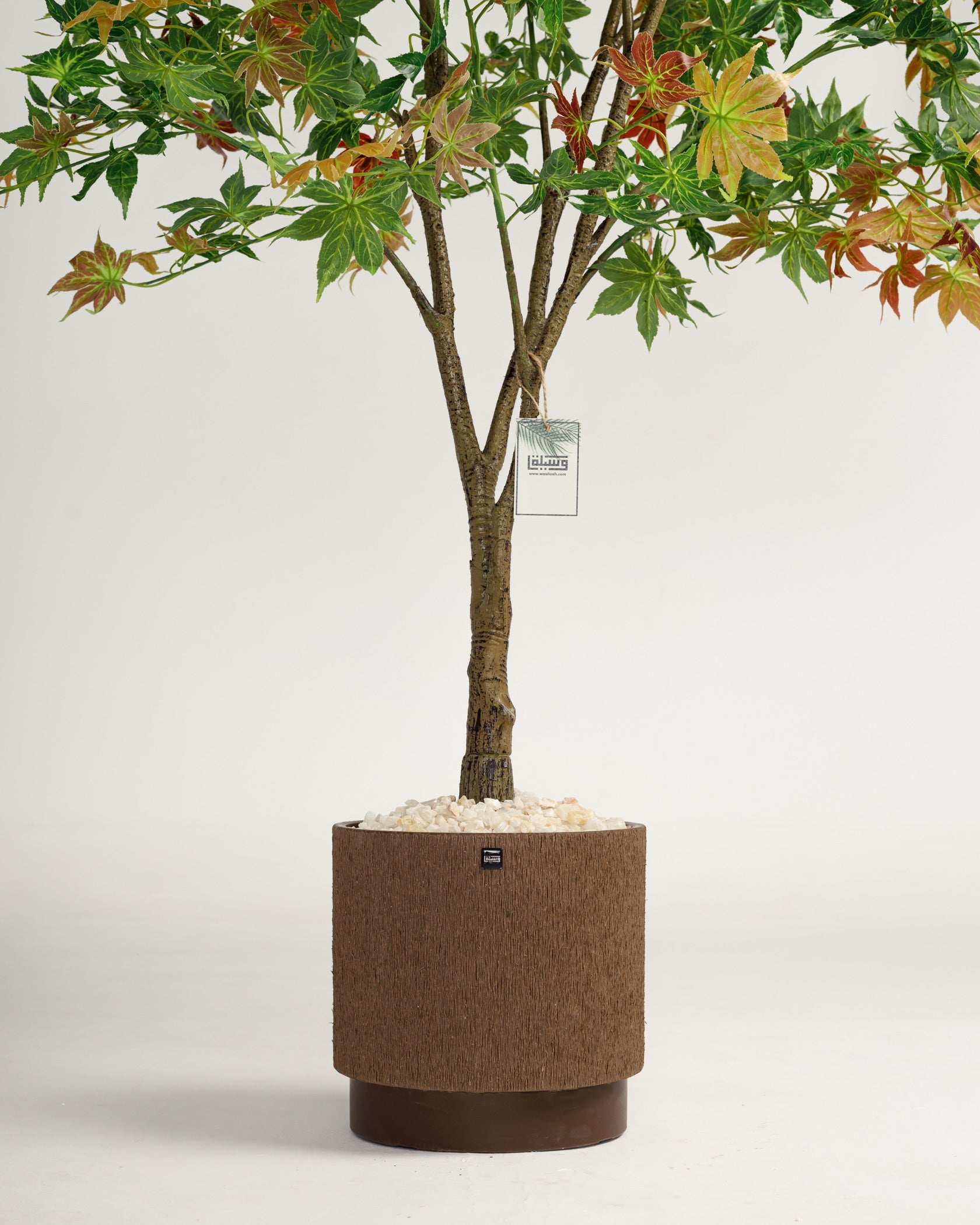 Arbre artificiel d'Hawaï