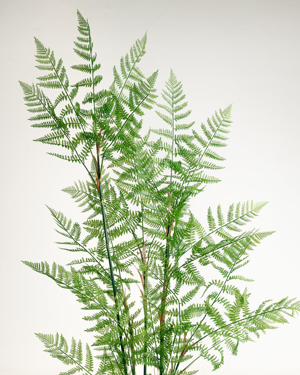 Arbre artificiel de Fujairah