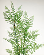 Arbre artificiel de Fujairah