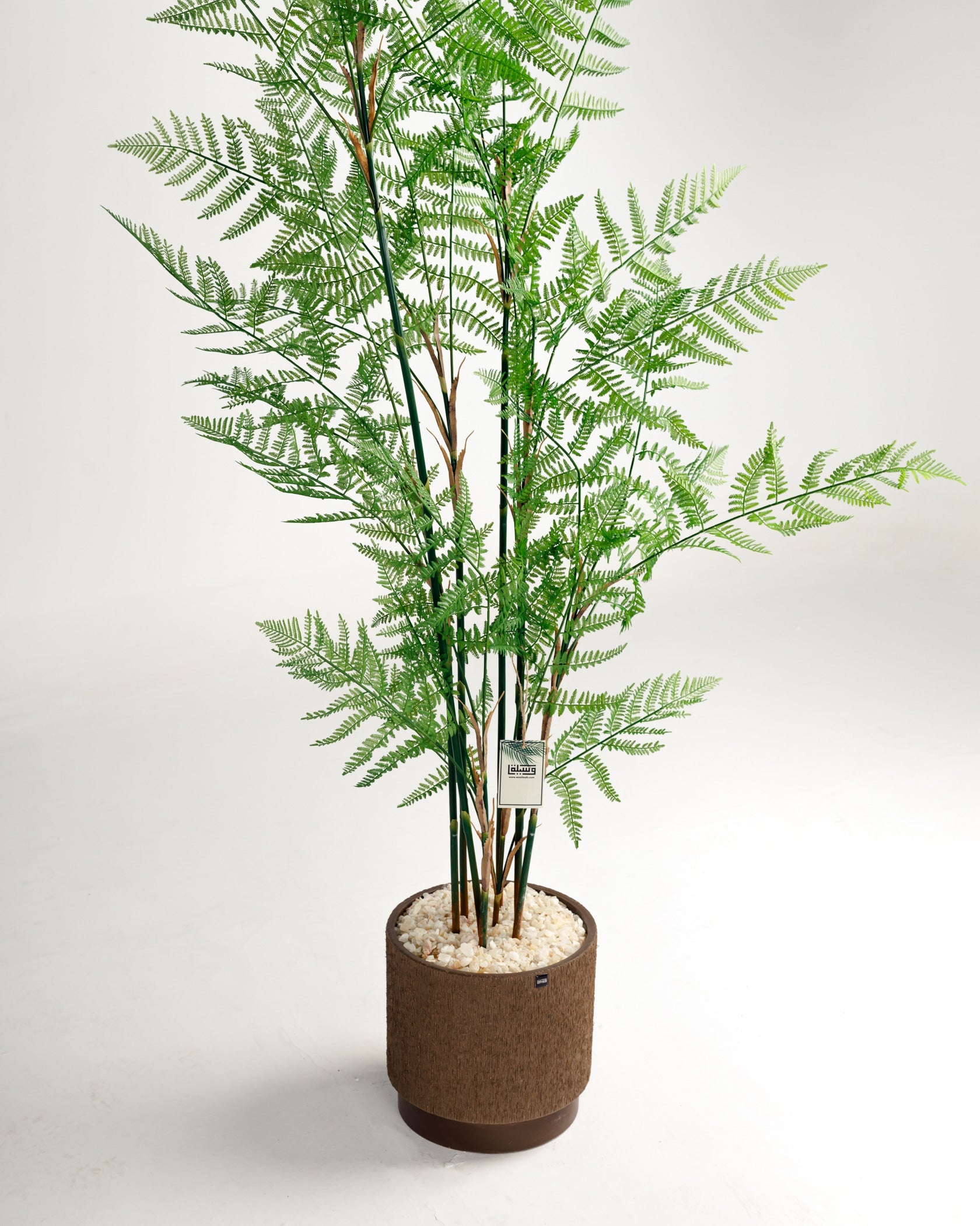 Arbre artificiel de Fujairah