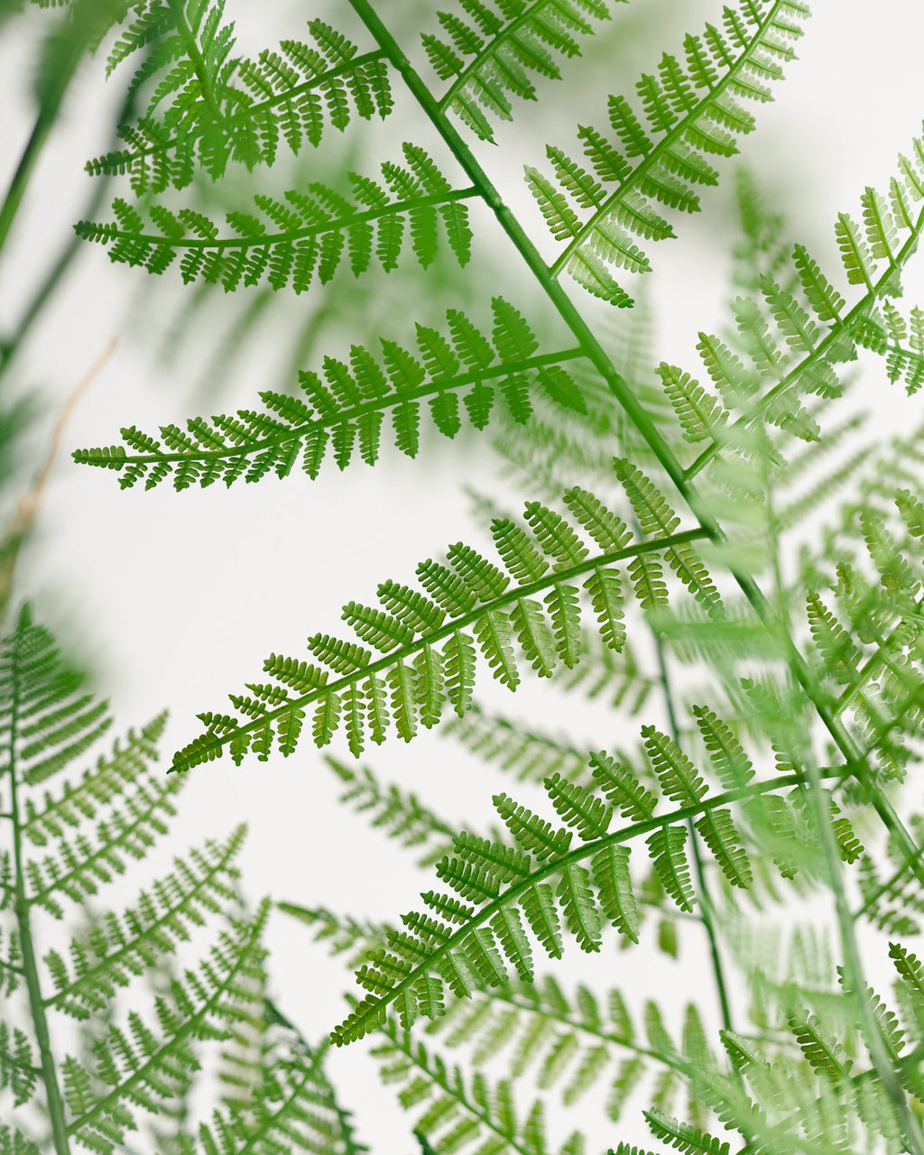 Arbre artificiel de Fujairah