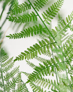 Arbre artificiel de Fujairah