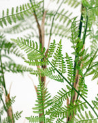 Arbre artificiel de Fujairah