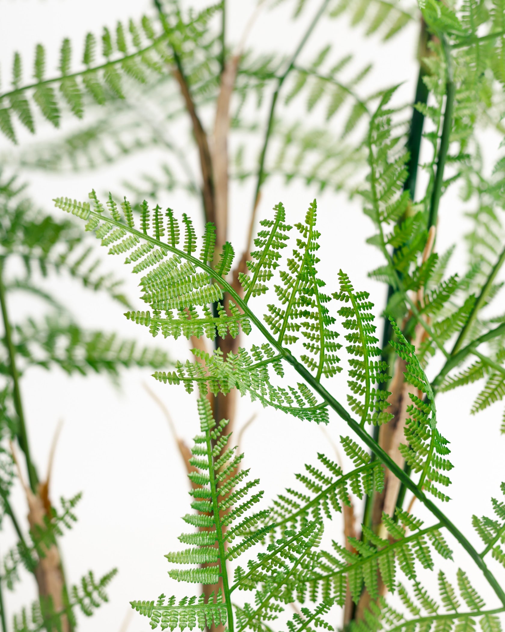 Arbre artificiel de Fujairah