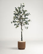 Eucalyptus artificiel