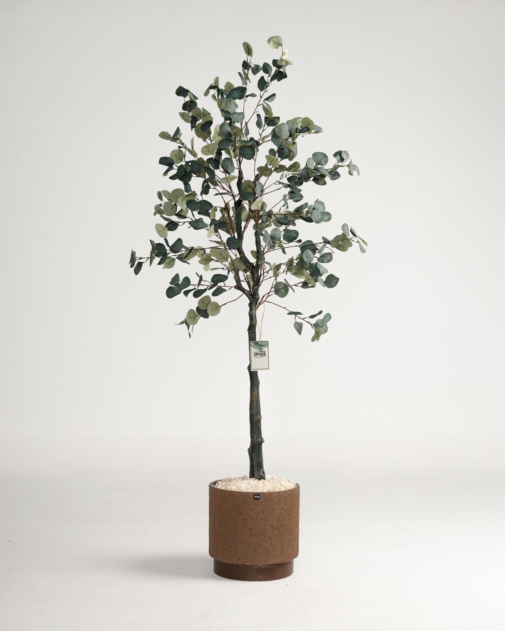 Eucalyptus artificiel