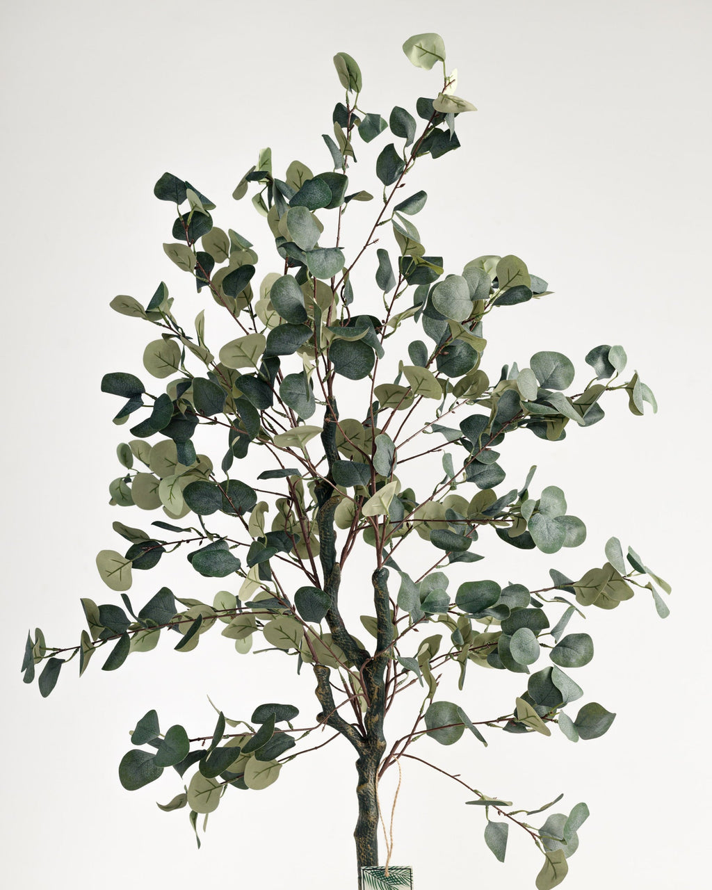 Eucalyptus artificiel