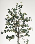 Eucalyptus artificiel
