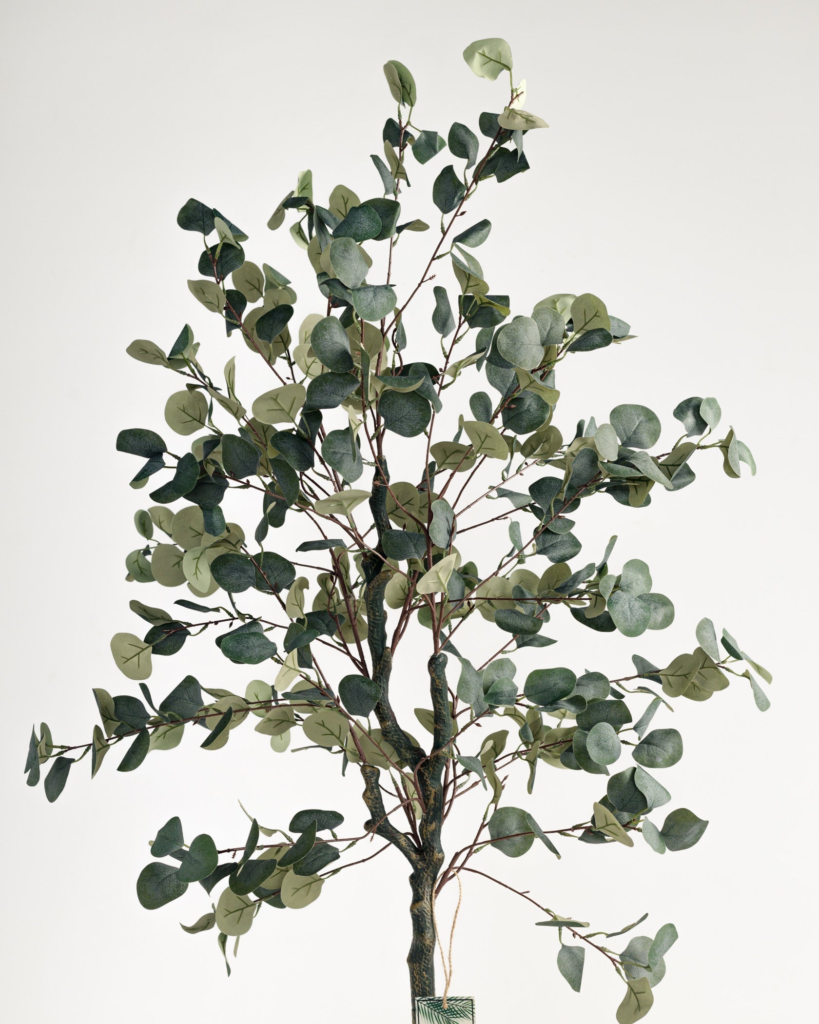 Eucalyptus artificiel