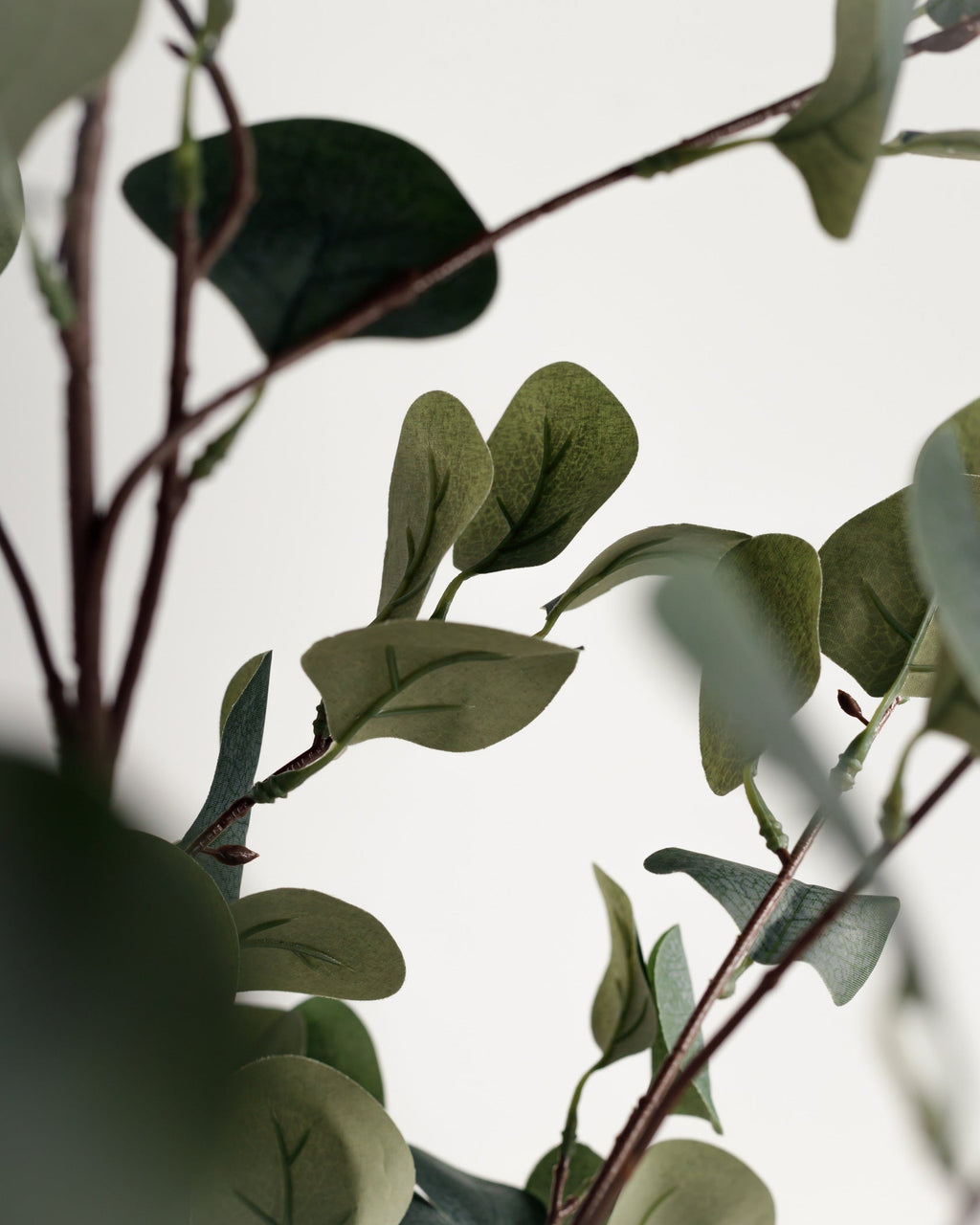 Eucalyptus artificiel