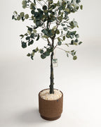 Eucalyptus artificiel