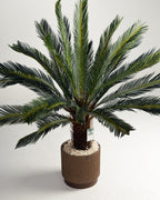 Lux Palm Tree