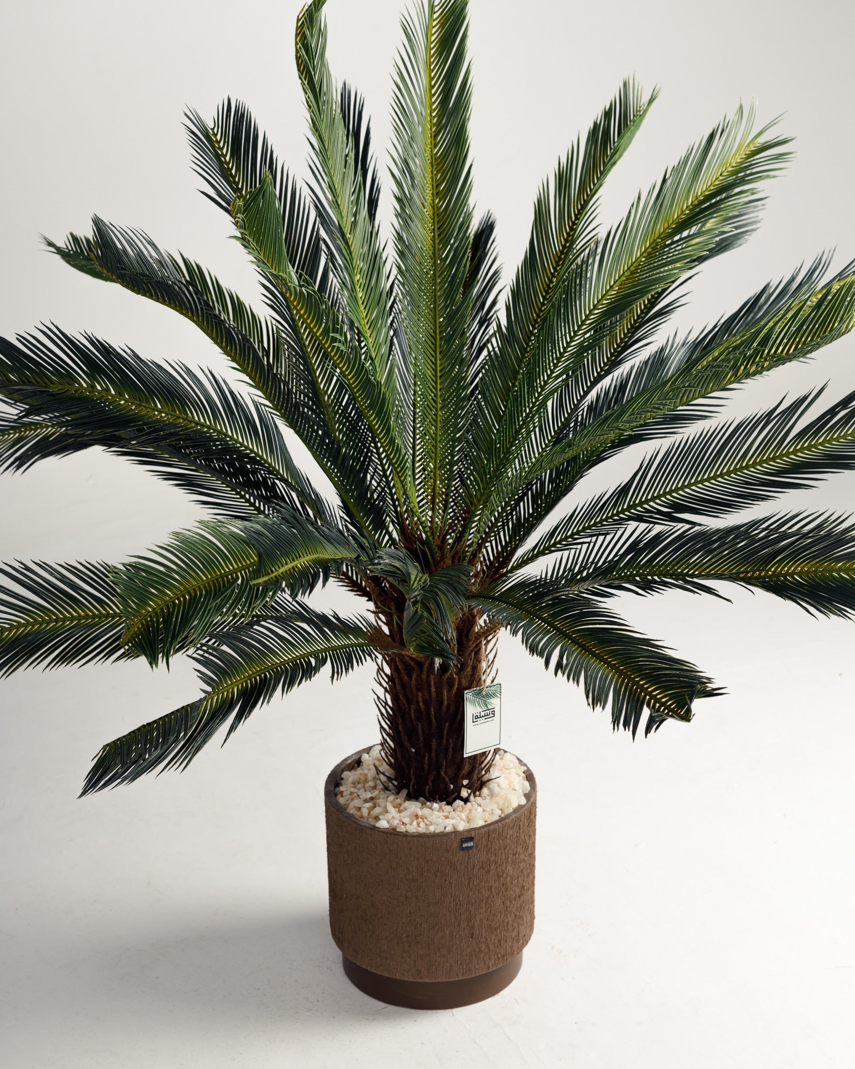 Lux Palm Tree