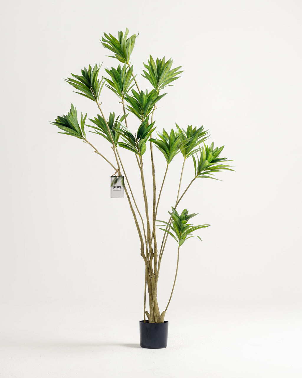 Arbre artificiel Dracaena