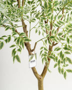 Arbre panaché de grande taille