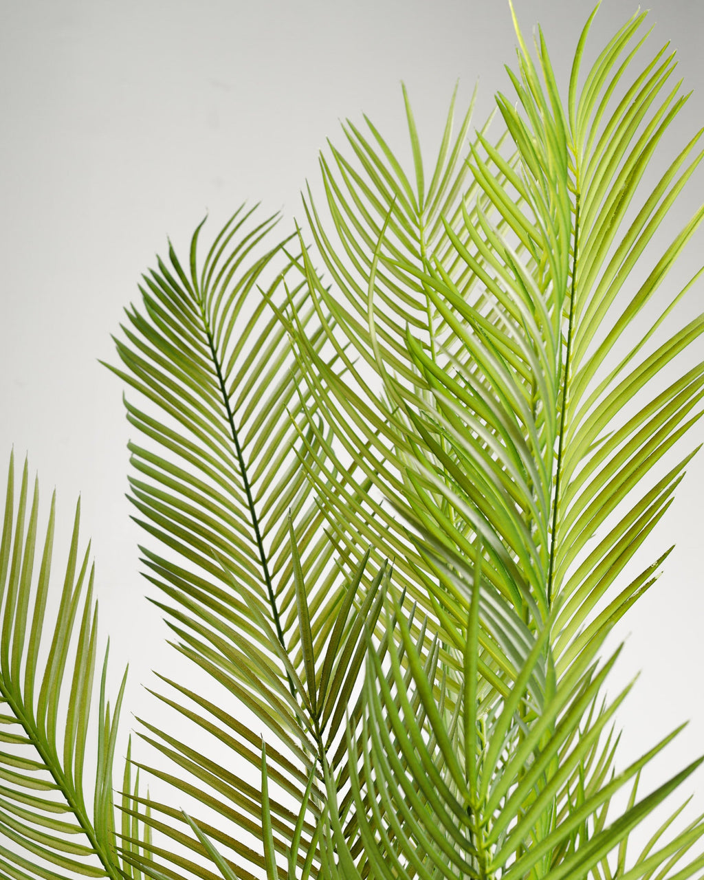 Palmier artificiel Areca