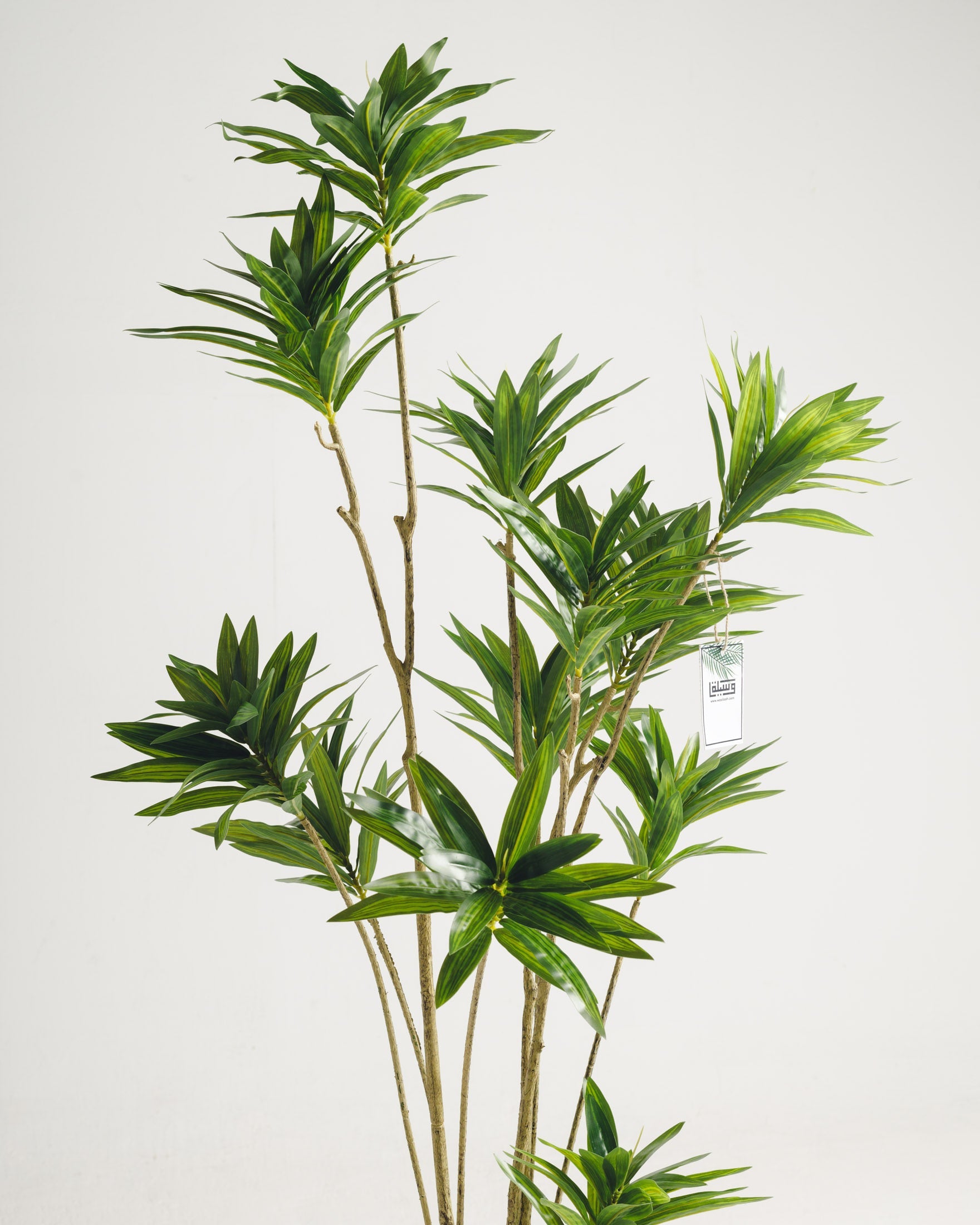 Arbre artificiel Dracaena