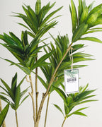 Arbre artificiel Dracaena