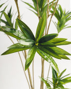 Arbre artificiel Dracaena