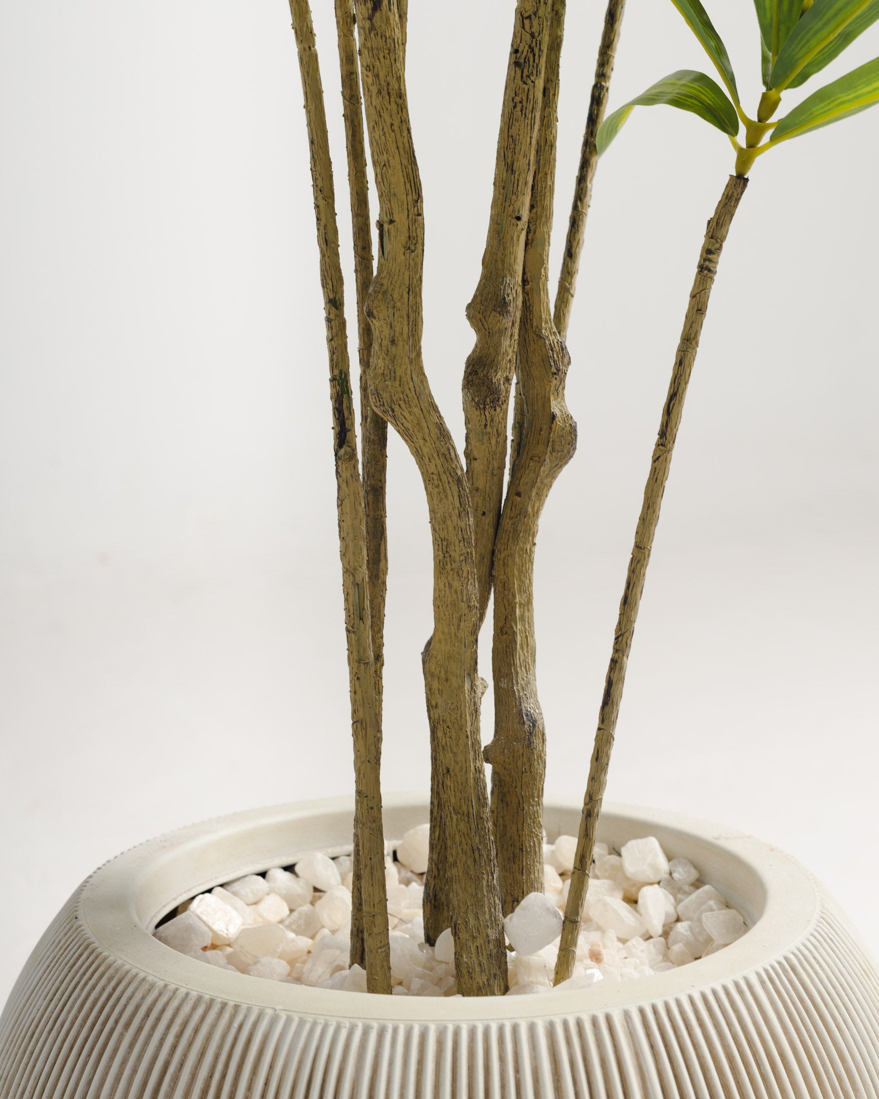 Arbre artificiel Dracaena