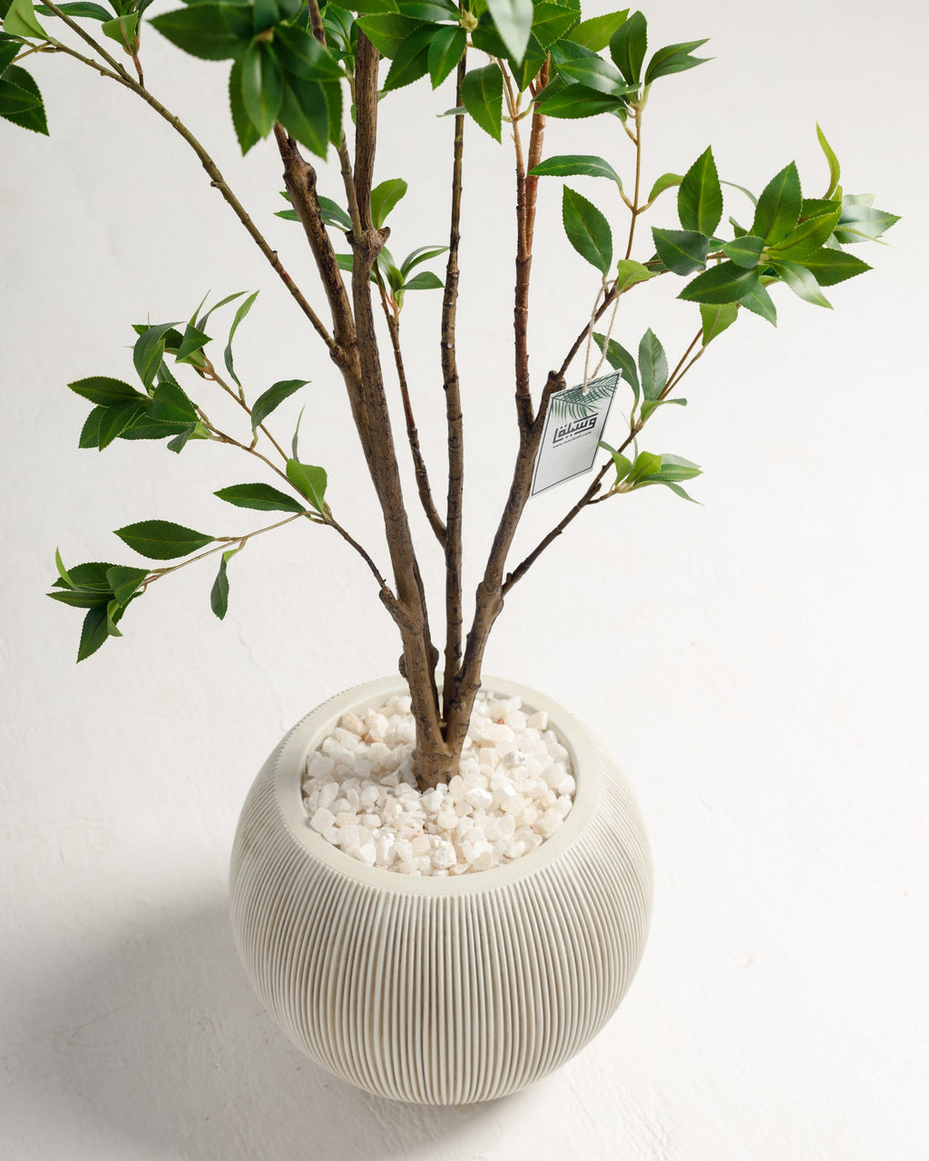 Pot en argile fibreuse