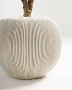 Pot en argile fibreuse