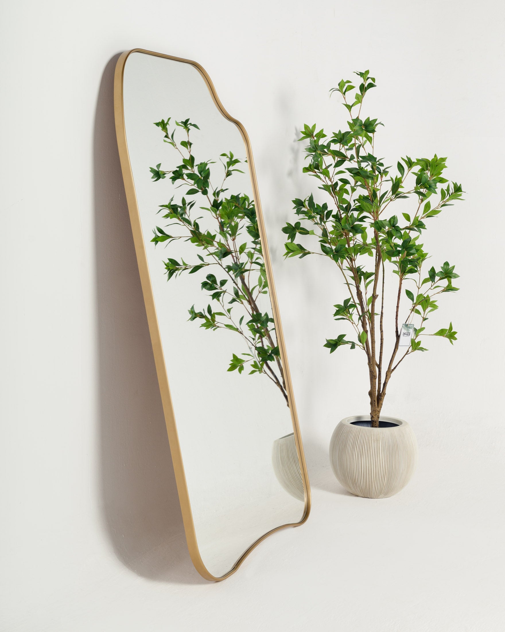 Miroir pleine longueur Brody