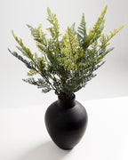 Succursale de Fujairah