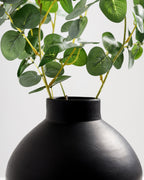 Branche d'eucalyptus