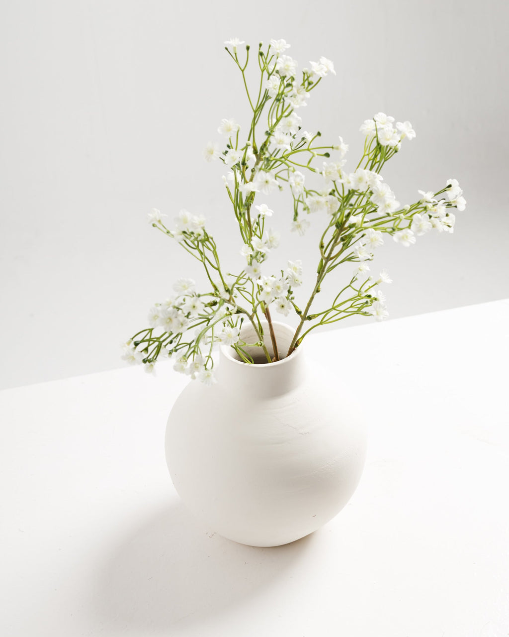 Branche de fleurs blanches