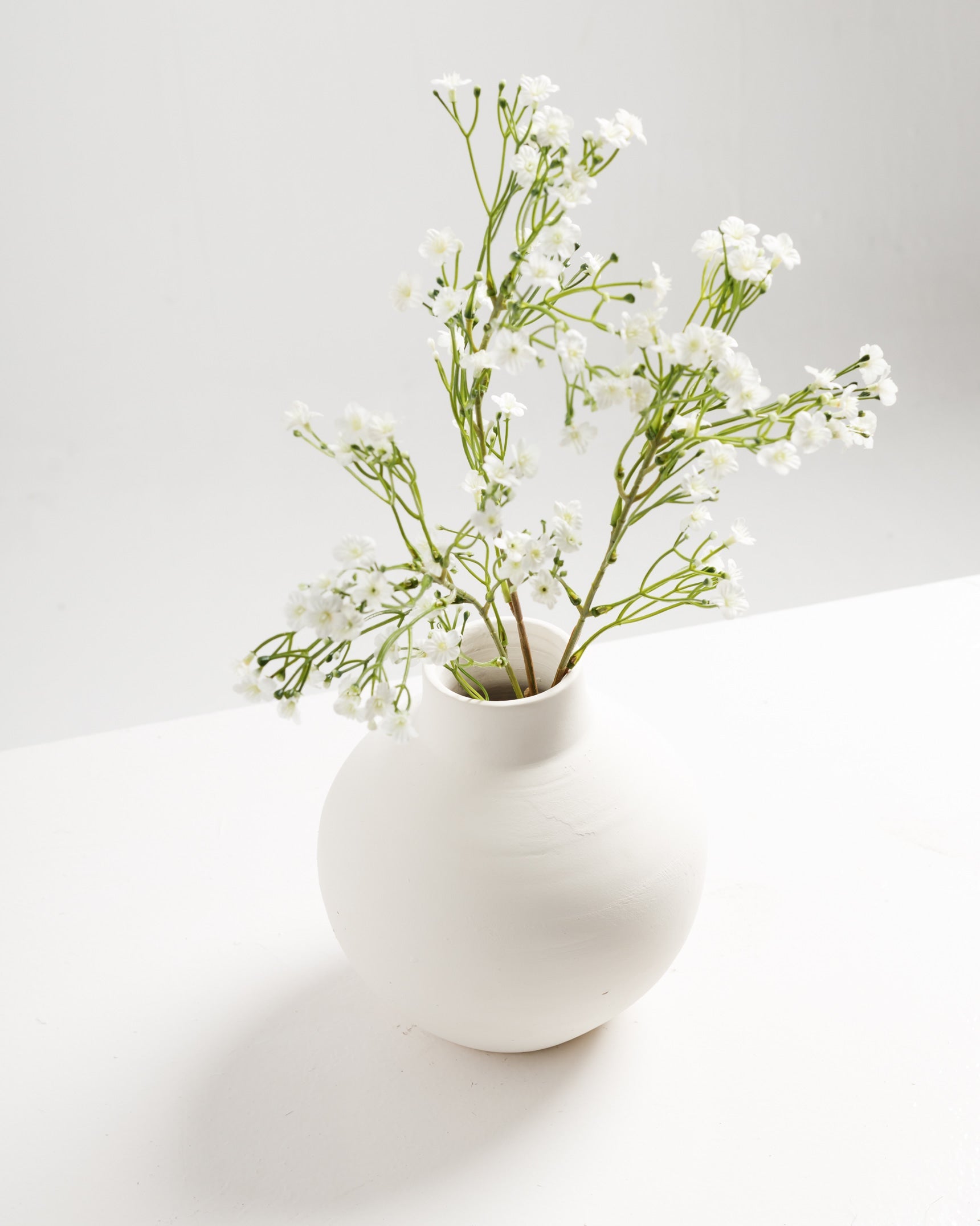 Branche de fleurs blanches