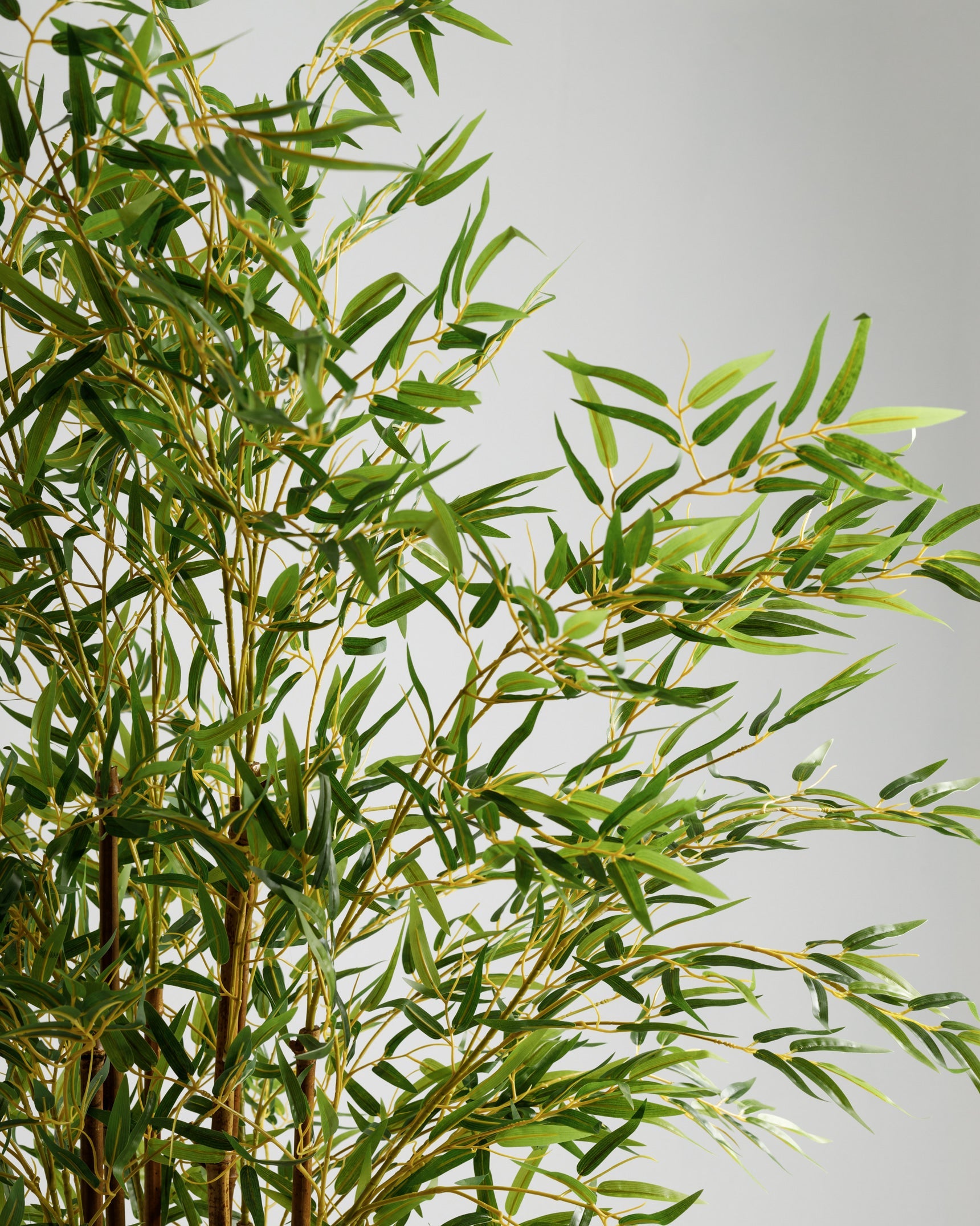 Plante artificielle en bambou