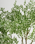 Arbre panaché de grande taille