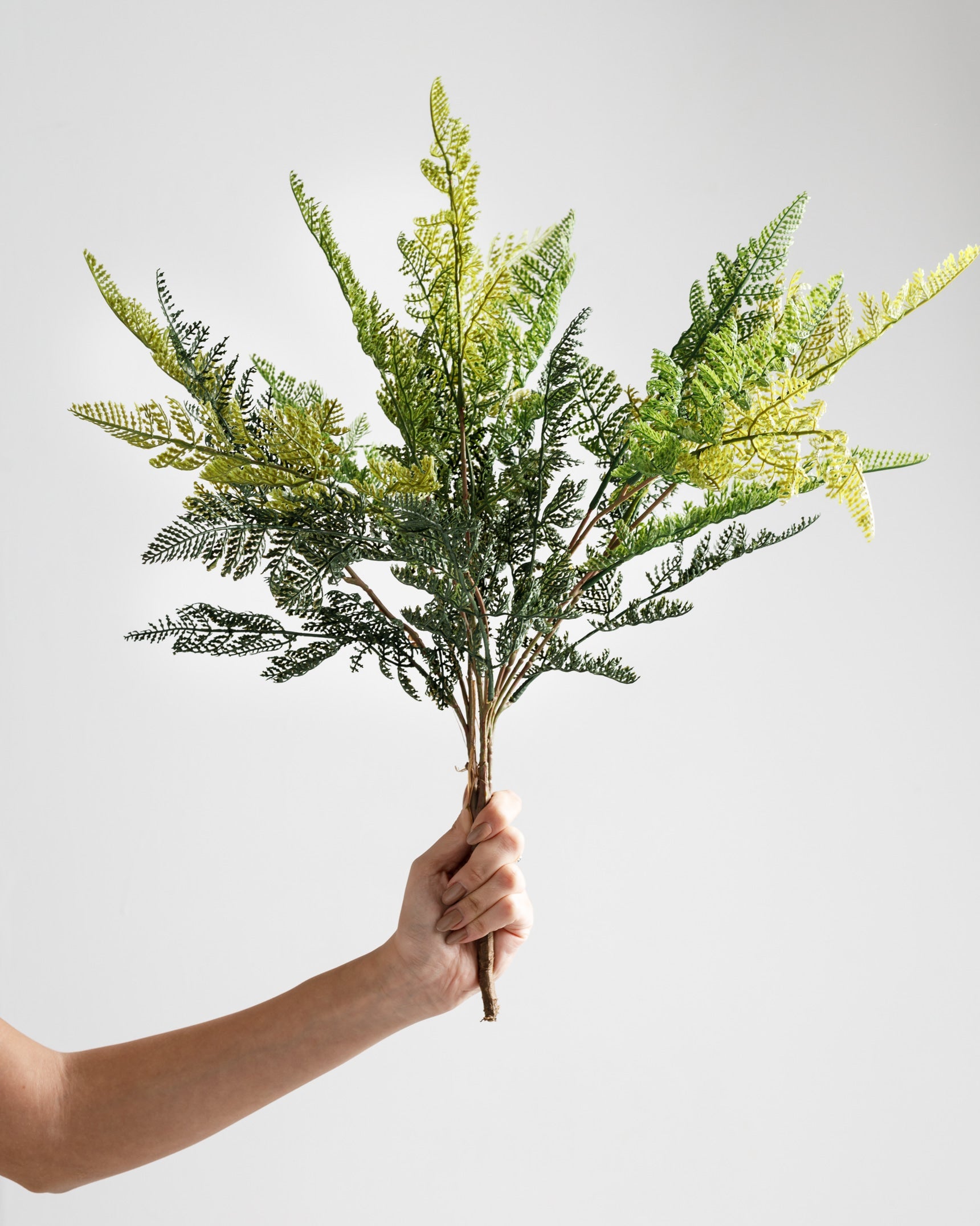 Succursale de Fujairah