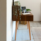 Akila en noyer par AE