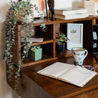 Akila en noyer par AE